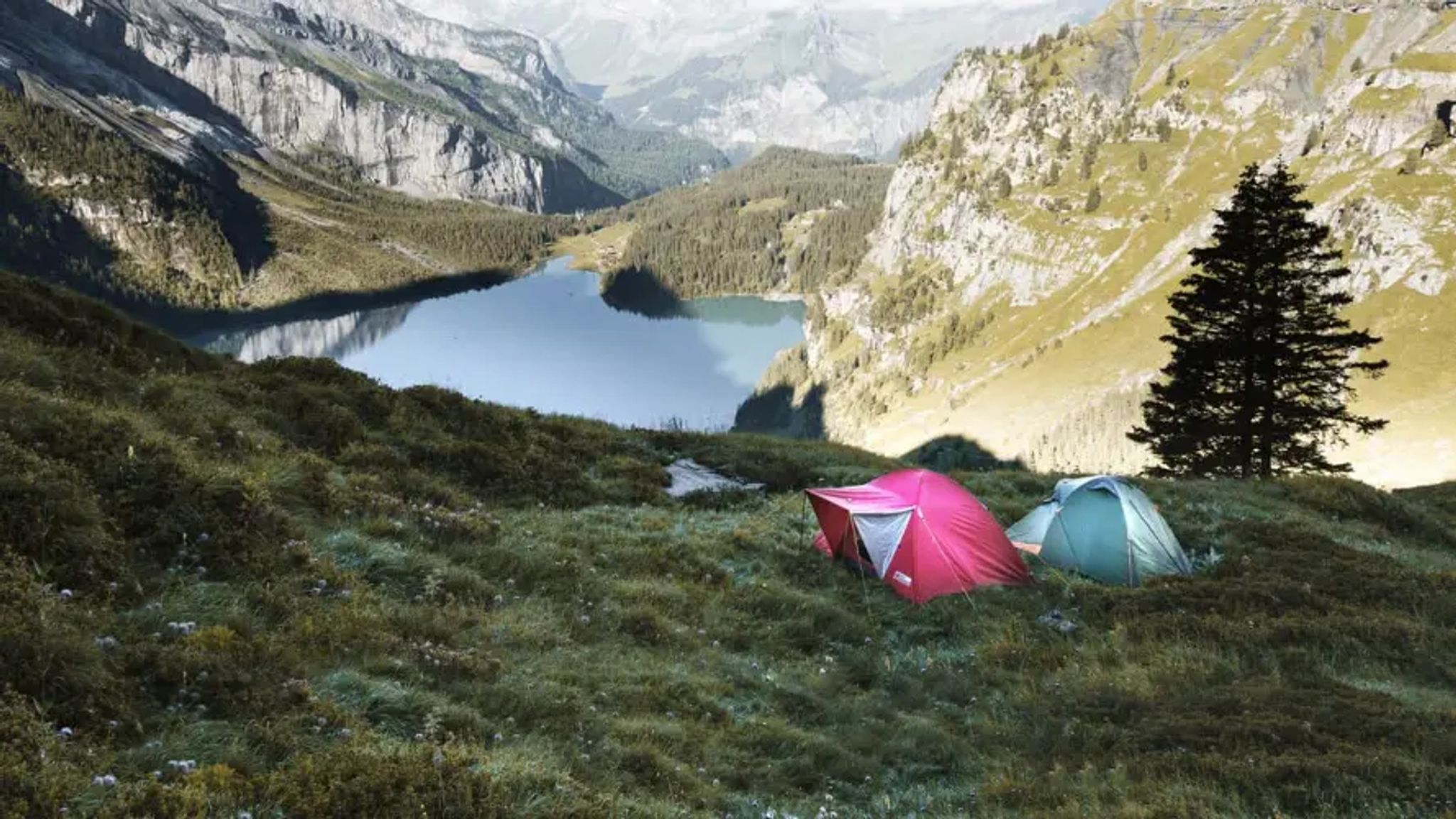 Cover for David Lee Reves's Obituary