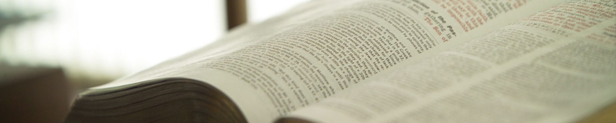 Cover for Louis James Austin, Sr.'s Obituary