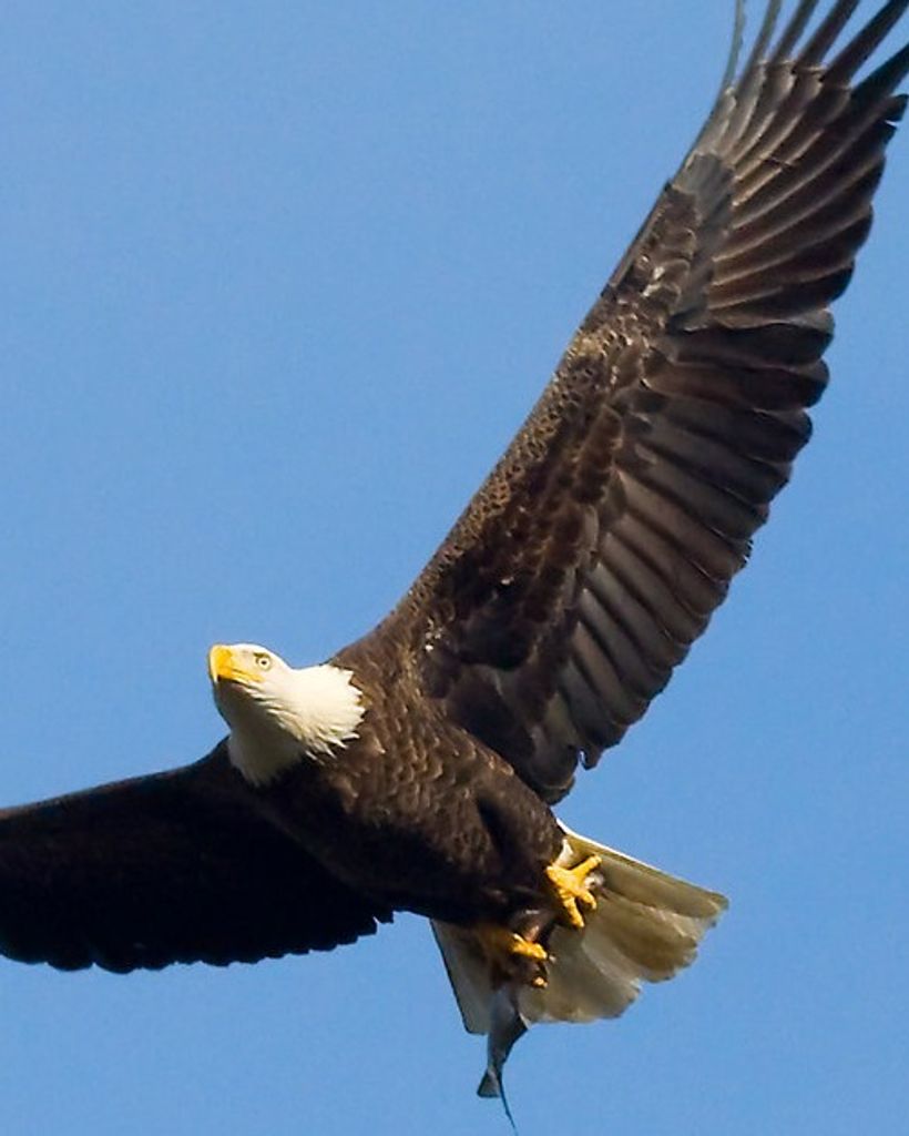 Jeffrey J. Ackerman Profile Photo