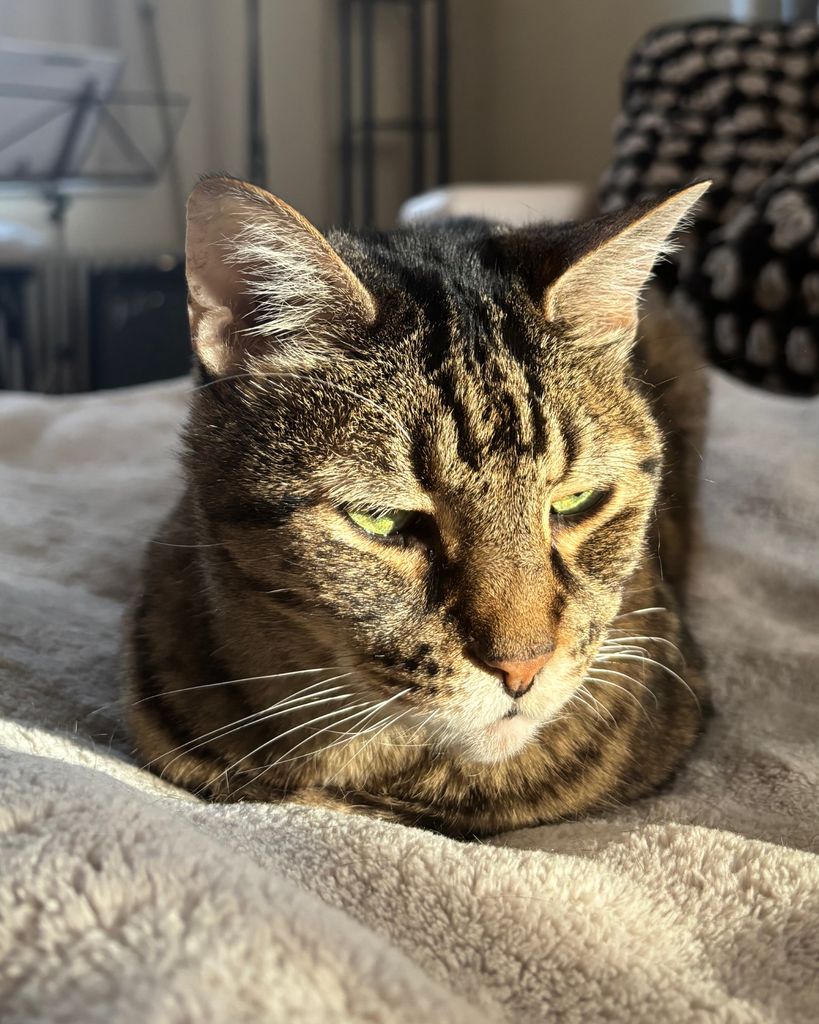 Sally Profile Photo