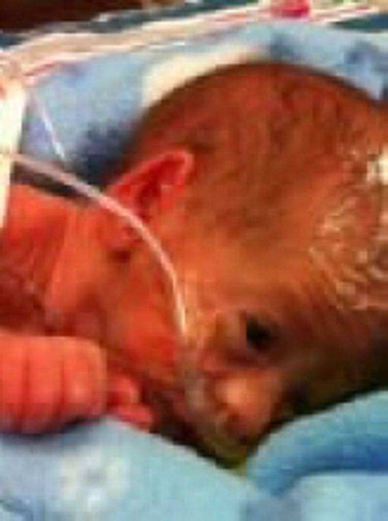 Zaydin Mauro Zuniga