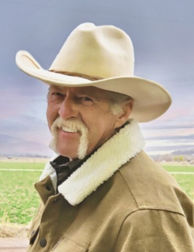 Terry Dee Nelson  Profile Photo