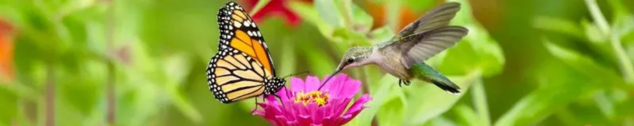 Cover photo for Deanna Kay Frome's Obituary
