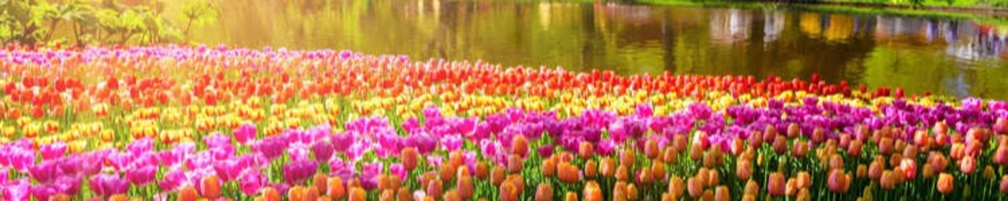 Cover photo for Maryrose McFall's Obituary