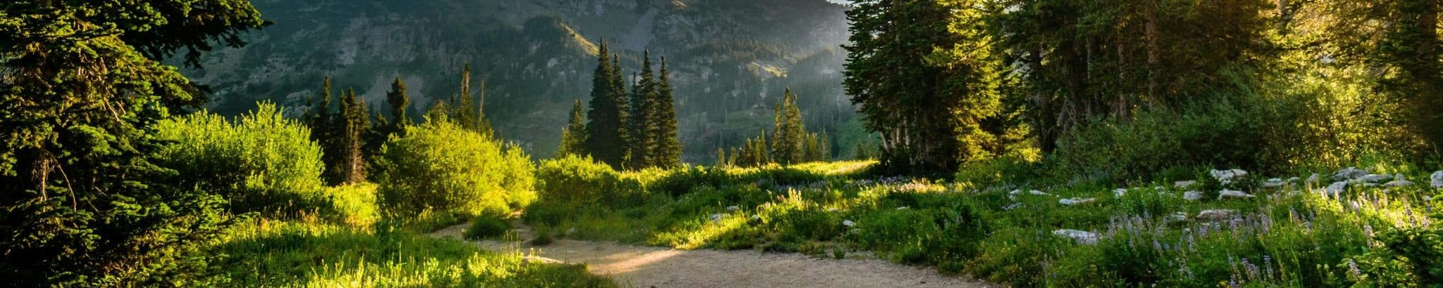 Cover for Caleb Korhonen's Obituary