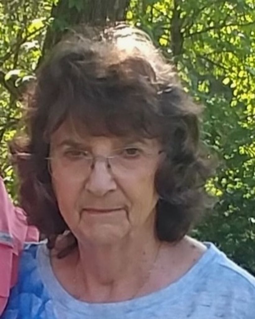 Sue Ellen Willis