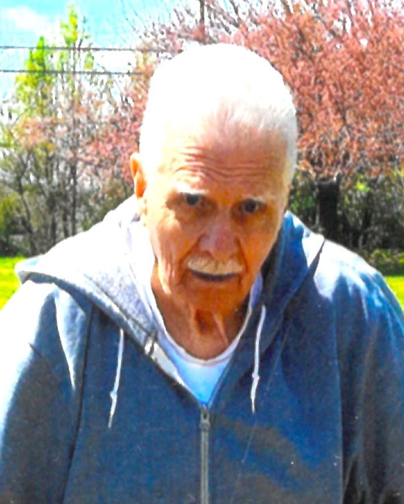 Dominick Nicholas Butindaro
