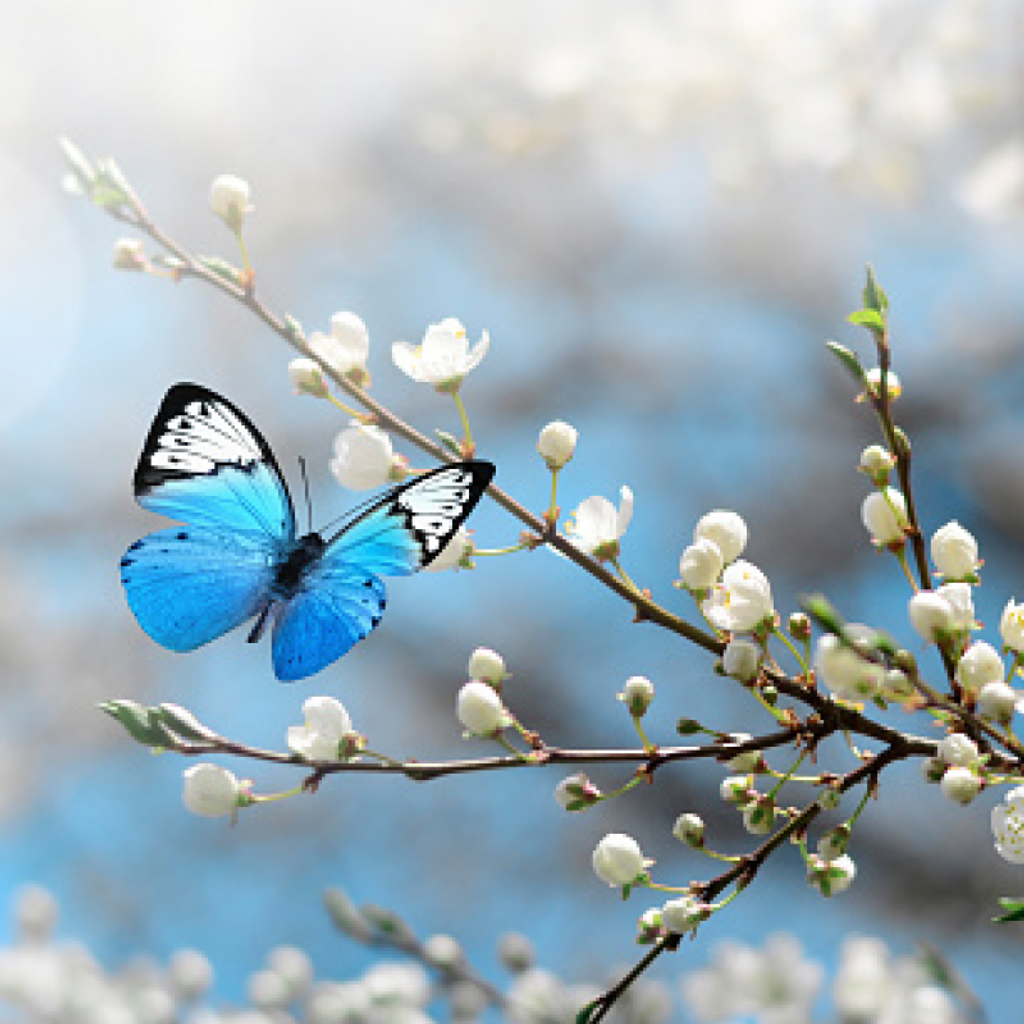 Jessica Claire Eichmann Profile Photo