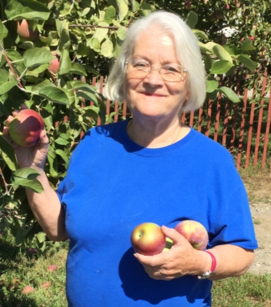 Elaine Mercer Profile Photo