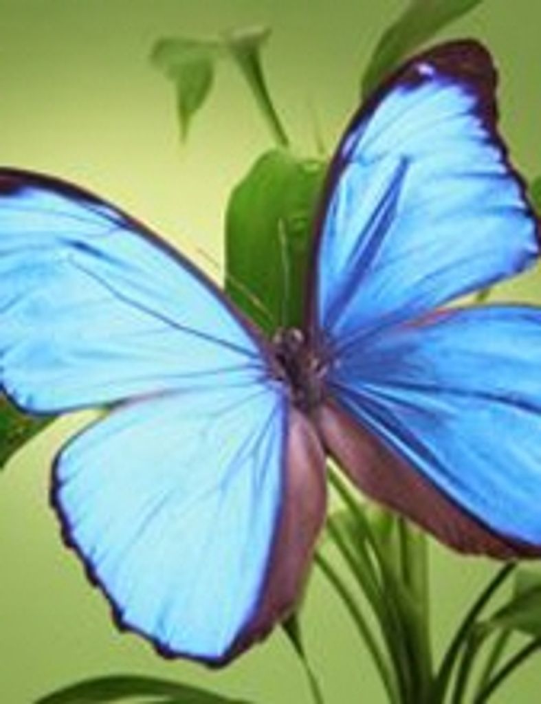 Carolyn Owen Duncan Henderson