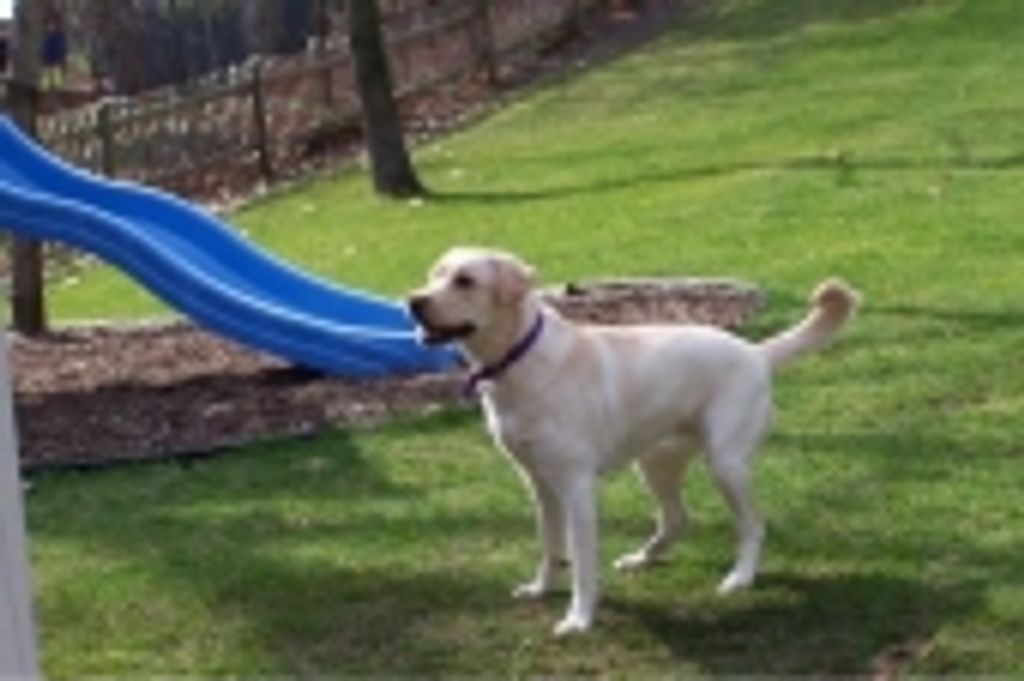 Kasey Newell Profile Photo