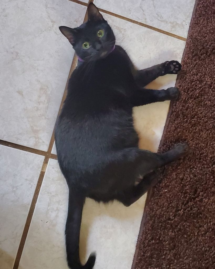 Luna 🖤 Profile Photo