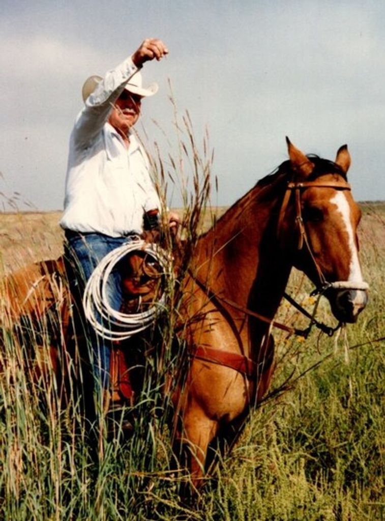 Jess William Perkins