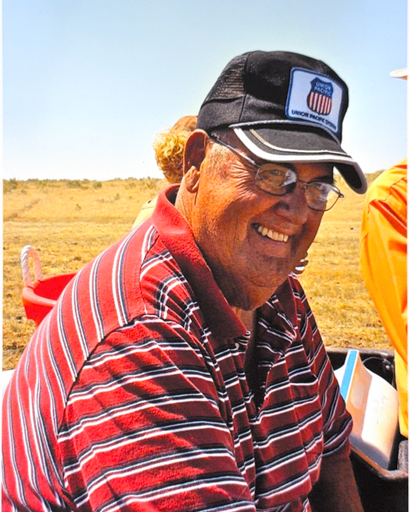 Dale V. Hansen Profile Photo