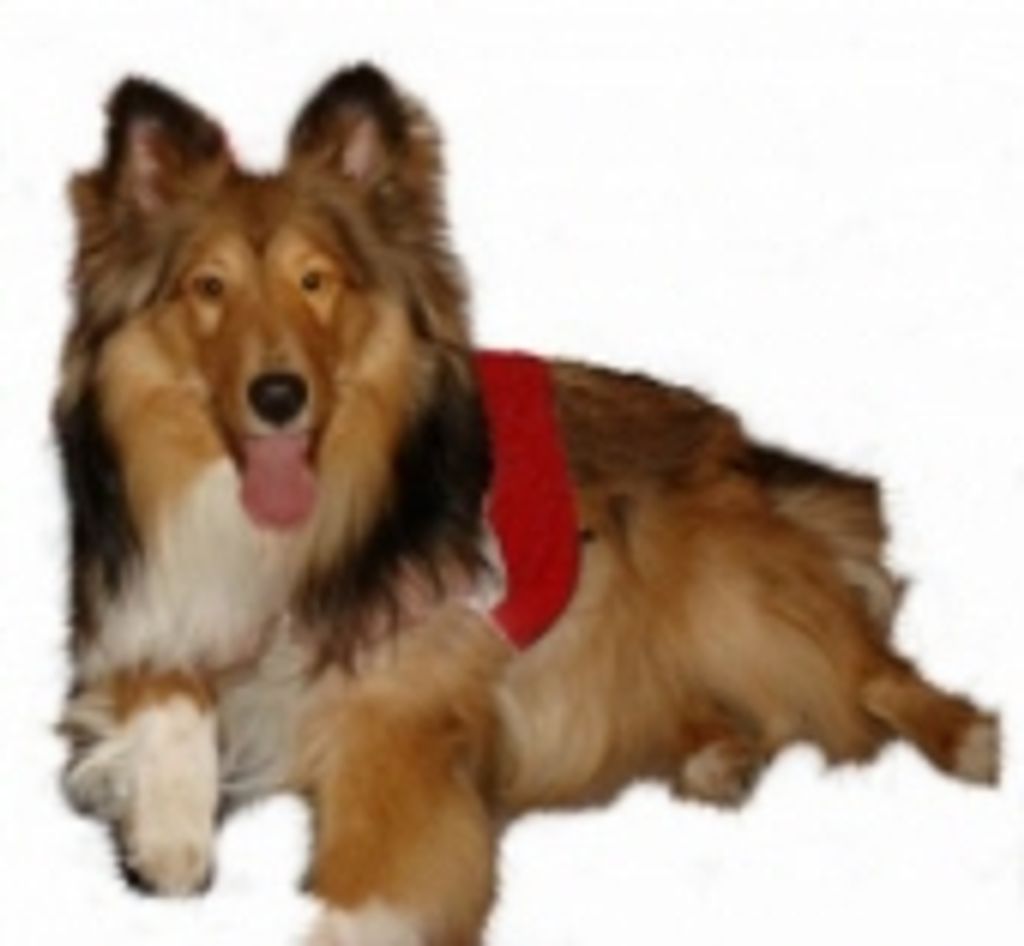 Ernie J Clock Profile Photo