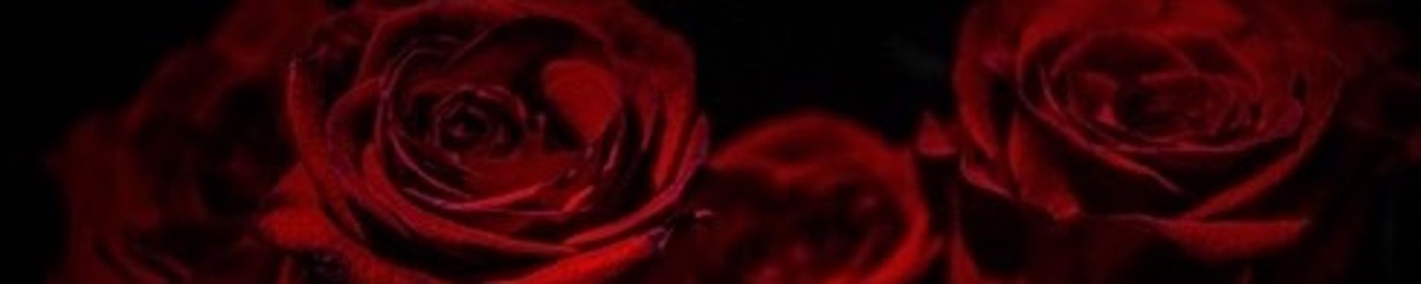 Cover photo for Shelia L McClain's Obituary