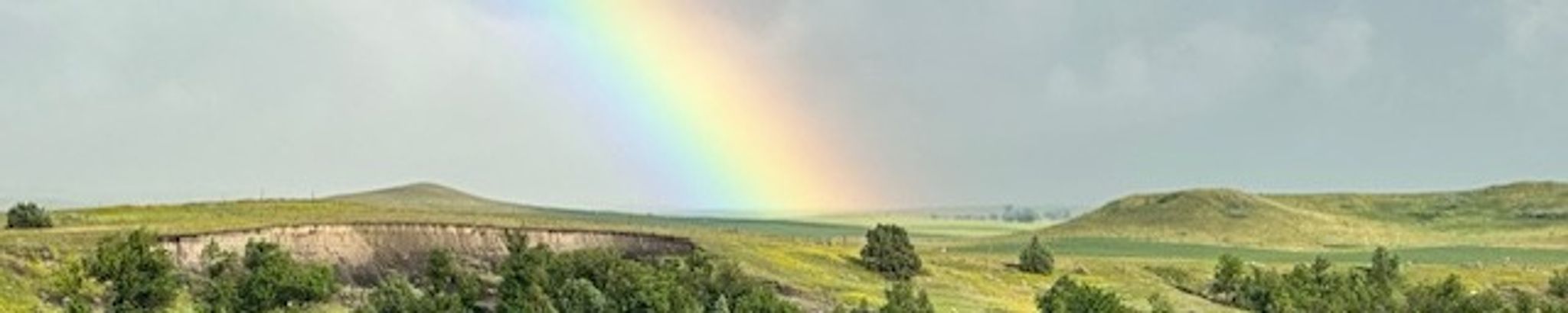 Cover for Merri Beck's Obituary