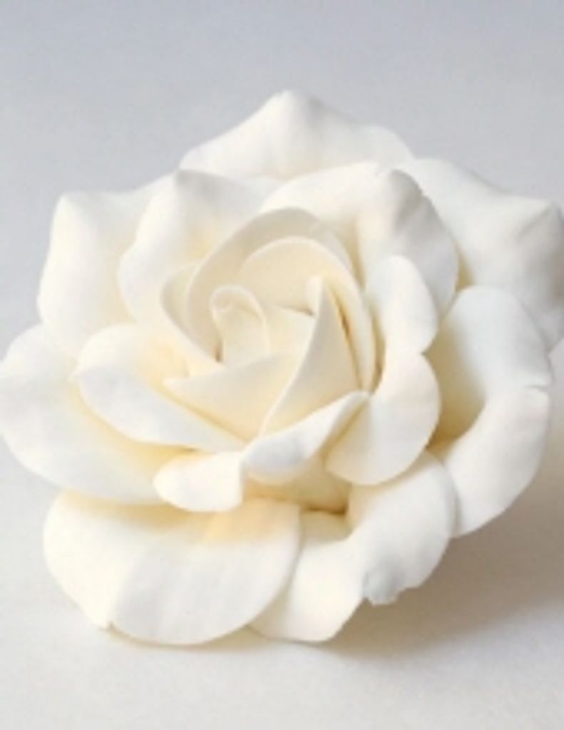 Rosalie T. Quam (Markese)