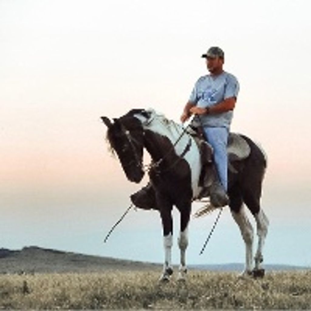 Stacy Howard Perkins Profile Photo