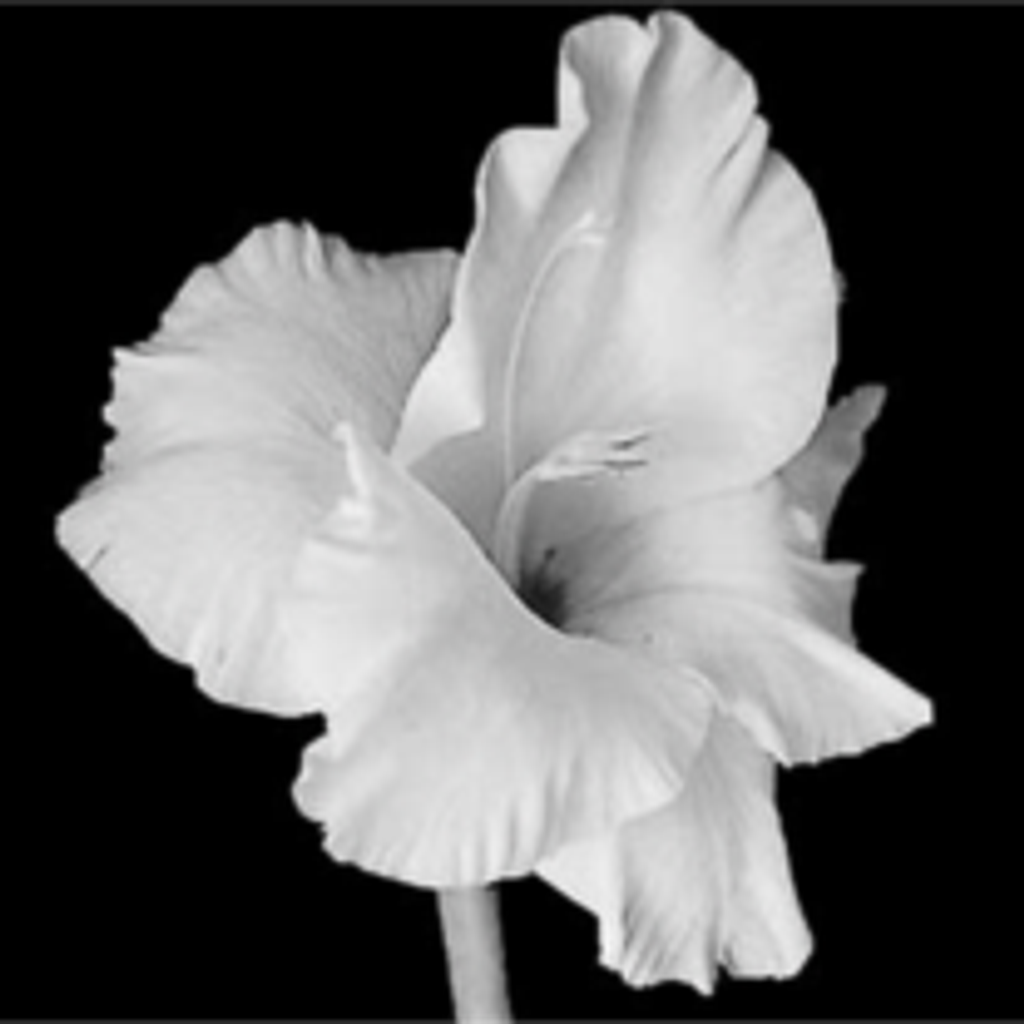 Mary Christianson