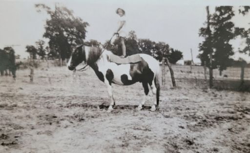 Ruth Millicent Taylor photo gallery thumbnail 34 of 84