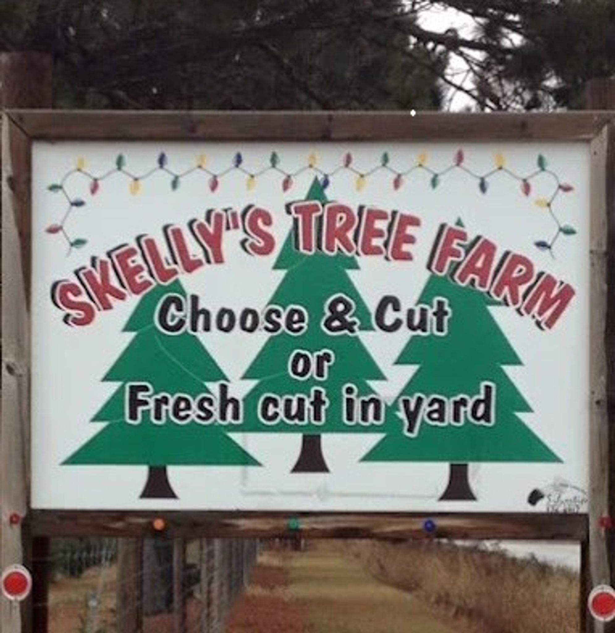 Cover for Dan Skelly's Obituary