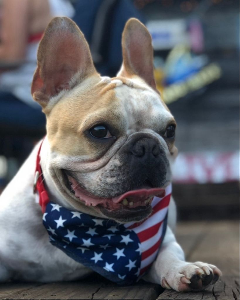 Frankie Gorman Norton