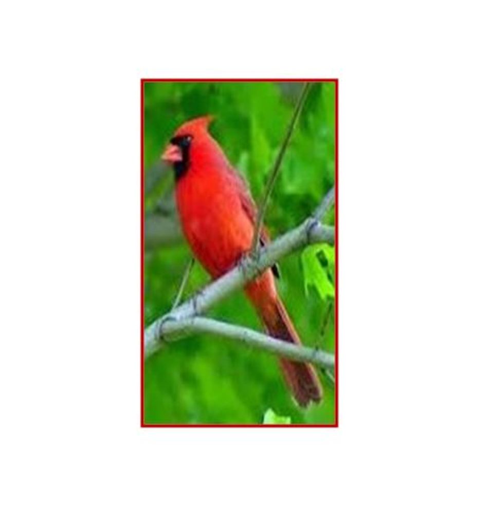 Neil G. Bartow Profile Photo