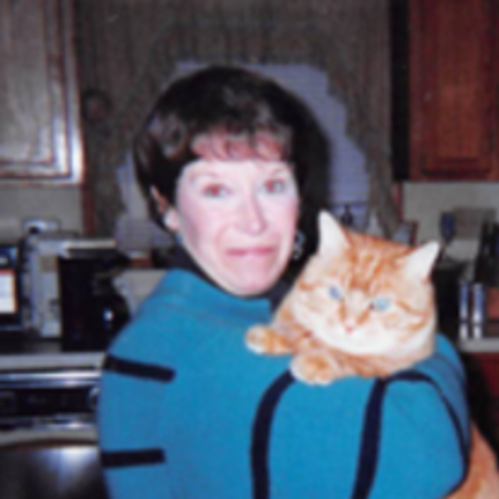 Susan L. Davis