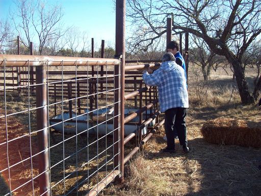 Georgia G Dacus photo gallery thumbnail 178 of 304