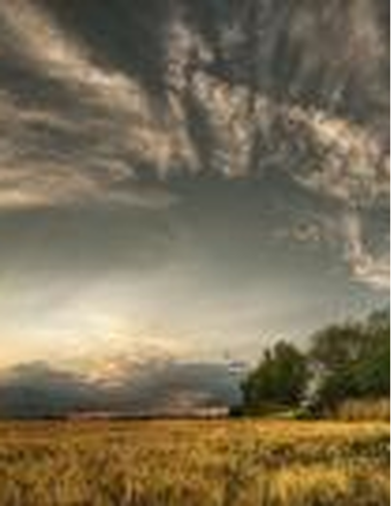 Debra Laverne Smith Greene