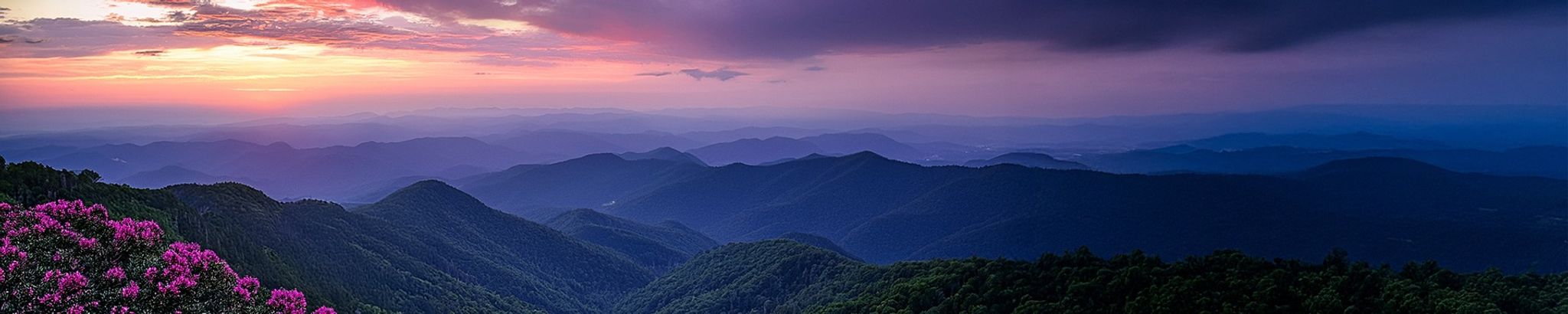 Cover photo for Betty Frazier's Obituary
