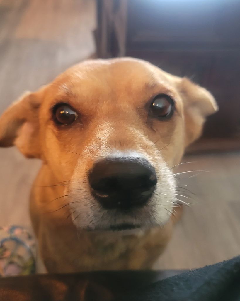 Twix Profile Photo