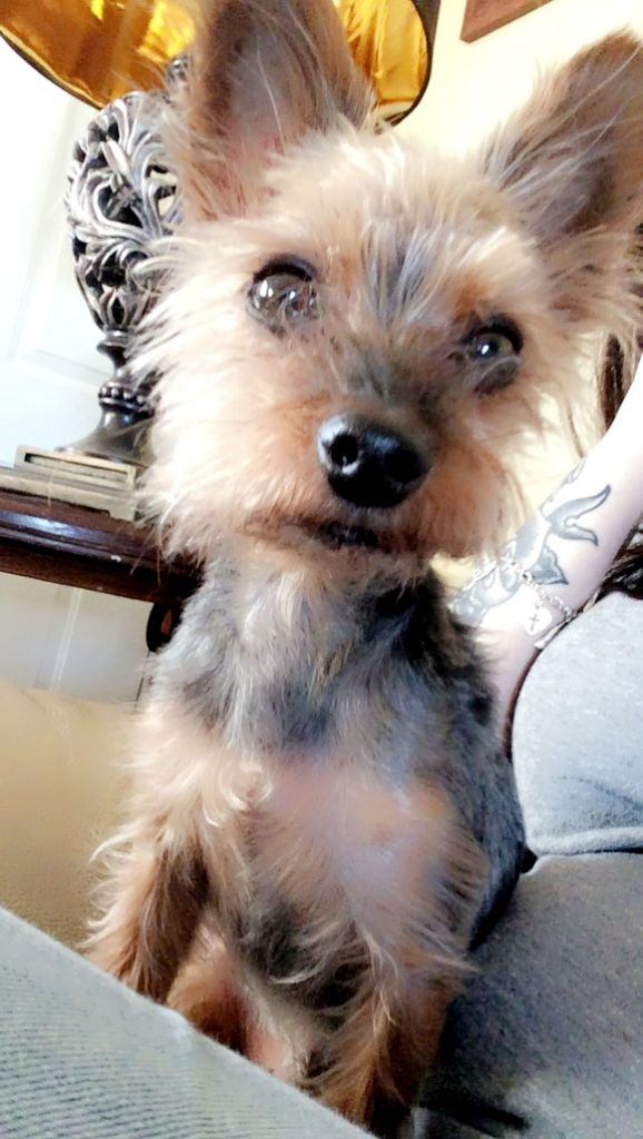 George Profile Photo