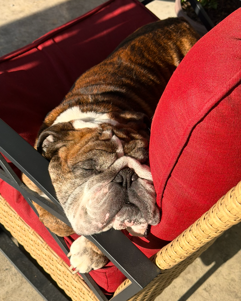 Buddy Euler Profile Photo