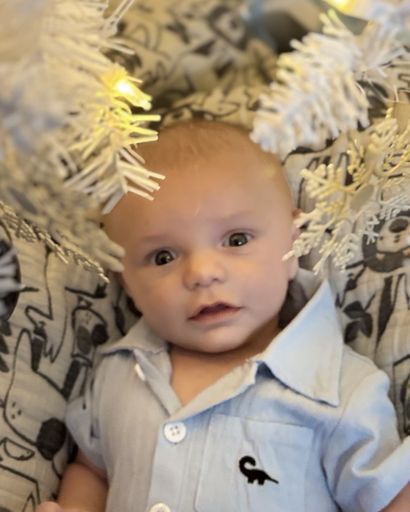 Theo Layne Williams's obituary image