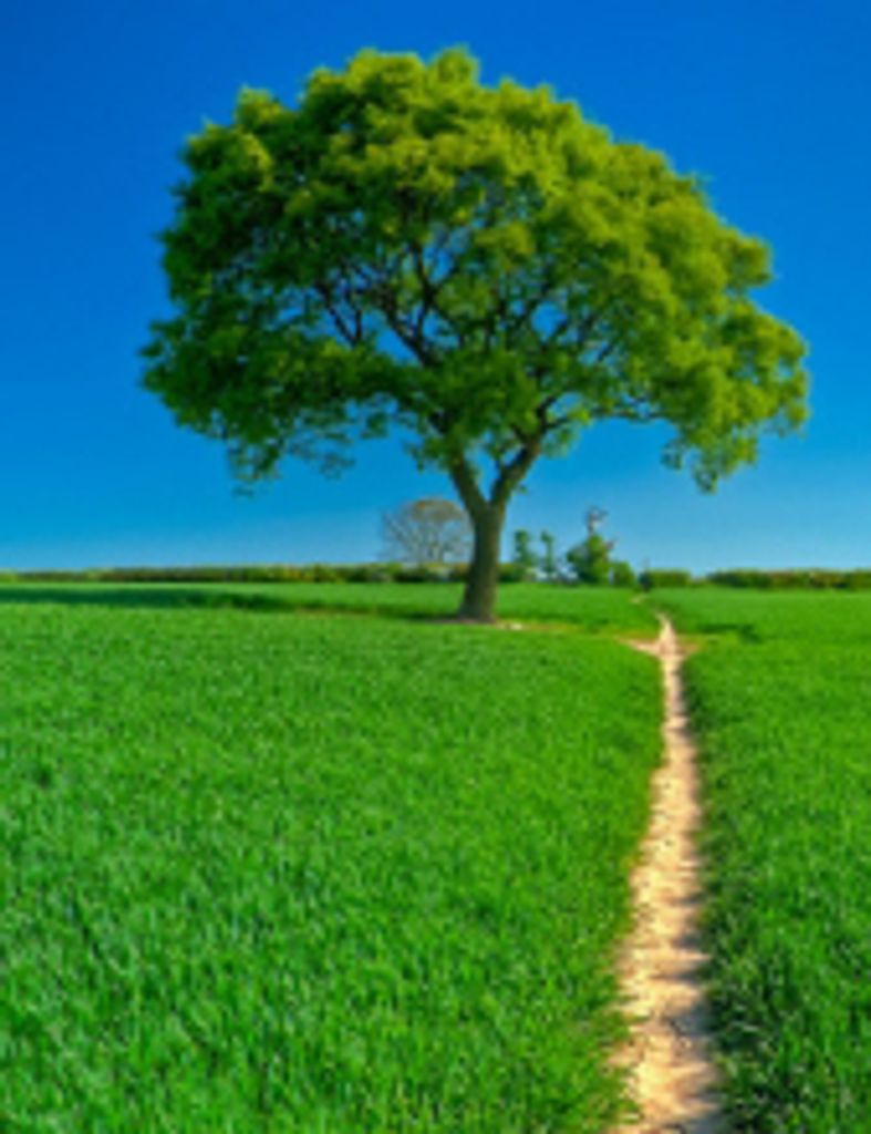 William Ralph Bailey