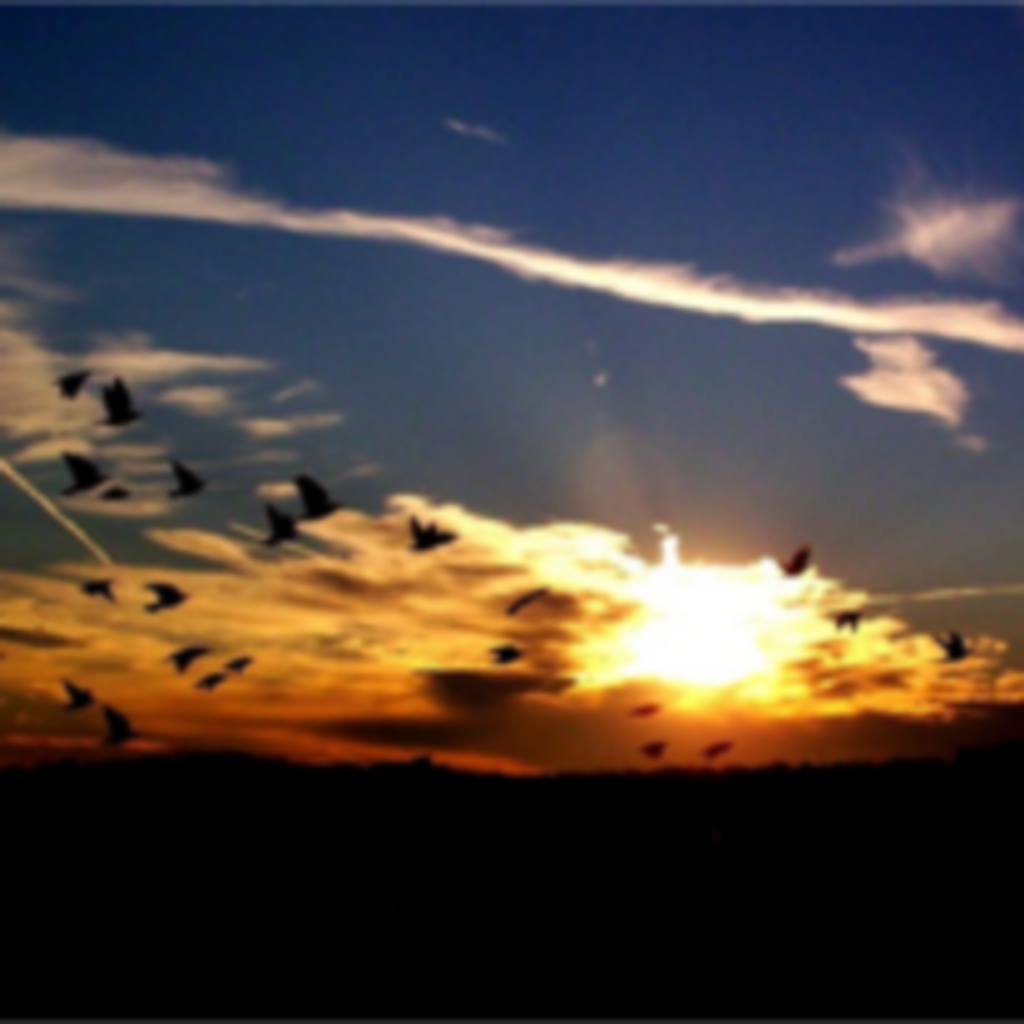 Lidia Emilia Estrada Sonoqui