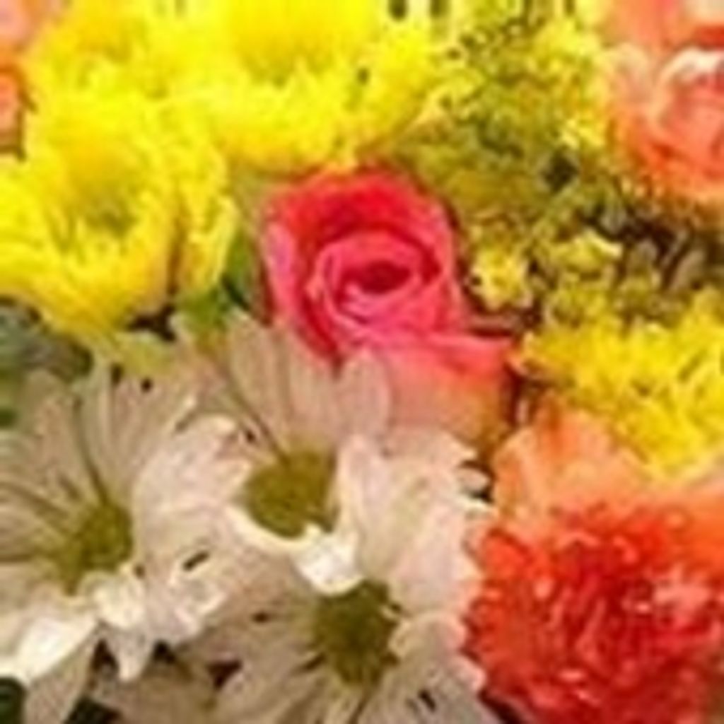 Delores J. Guiles Profile Photo