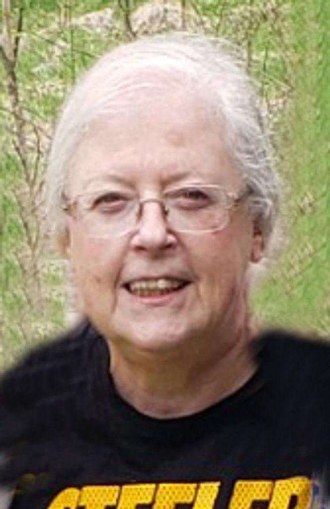 Linda S. Domitrovic Profile Photo