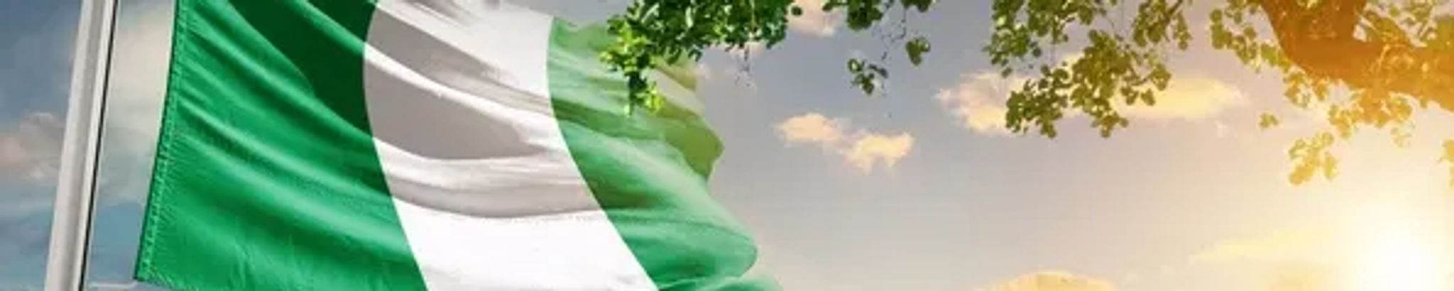 Cover for Okechukwu Umunnakwe's Obituary