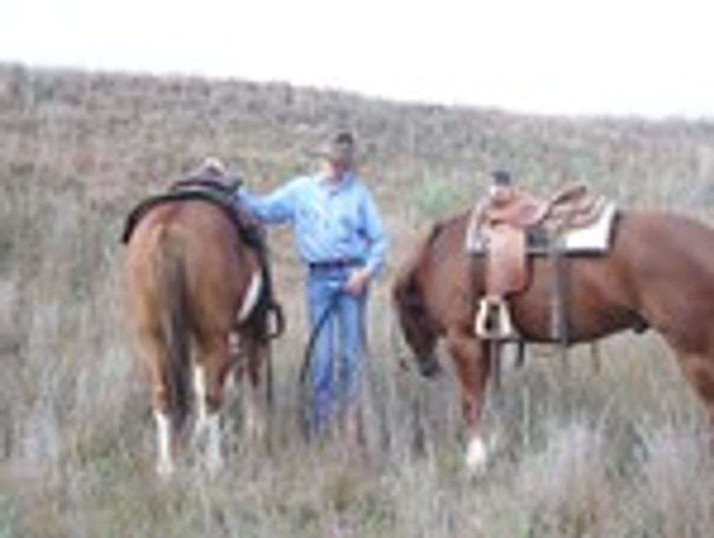 Ivan P. Ediger Profile Photo
