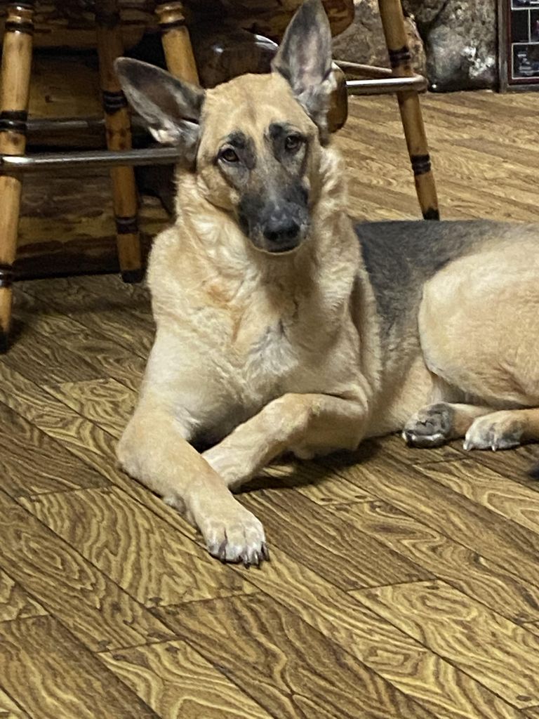 Harley Jo Rodriguez-Kobosky Profile Photo
