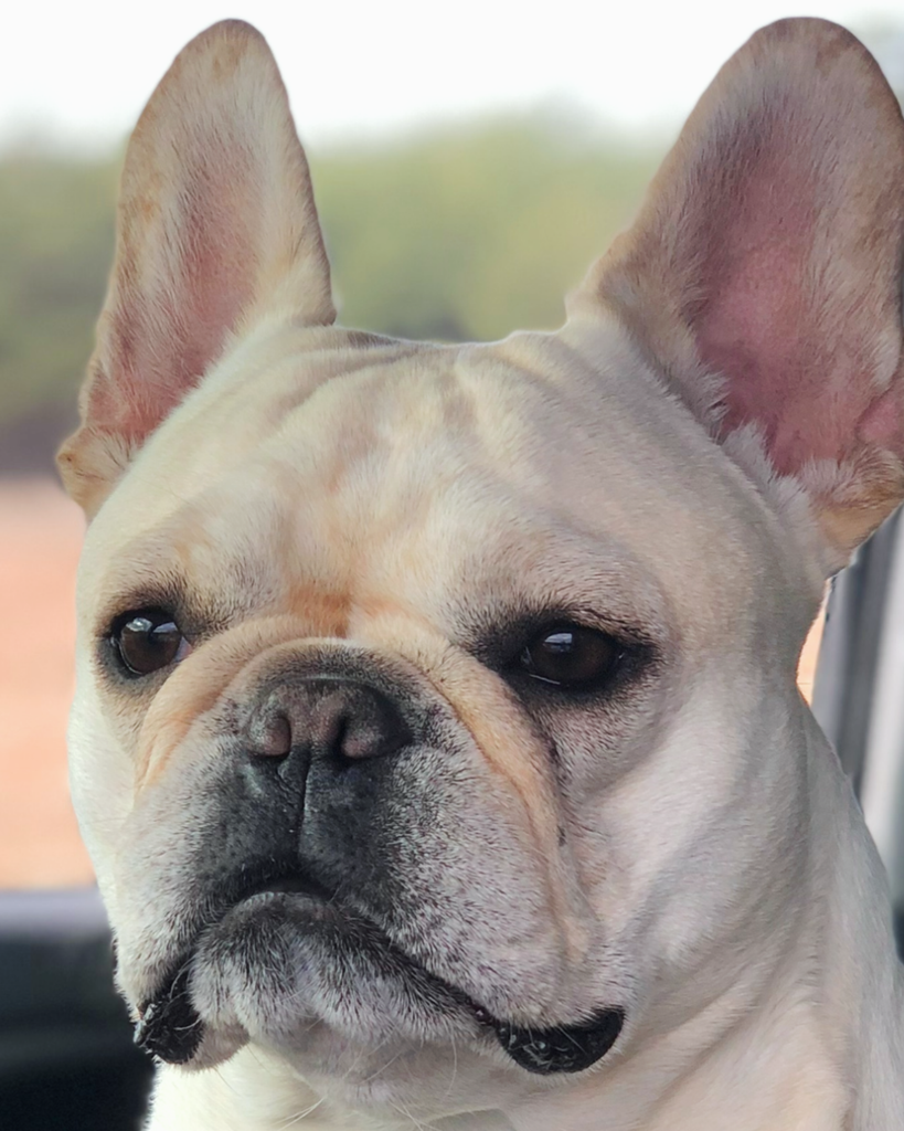 Zoey Mann Profile Photo