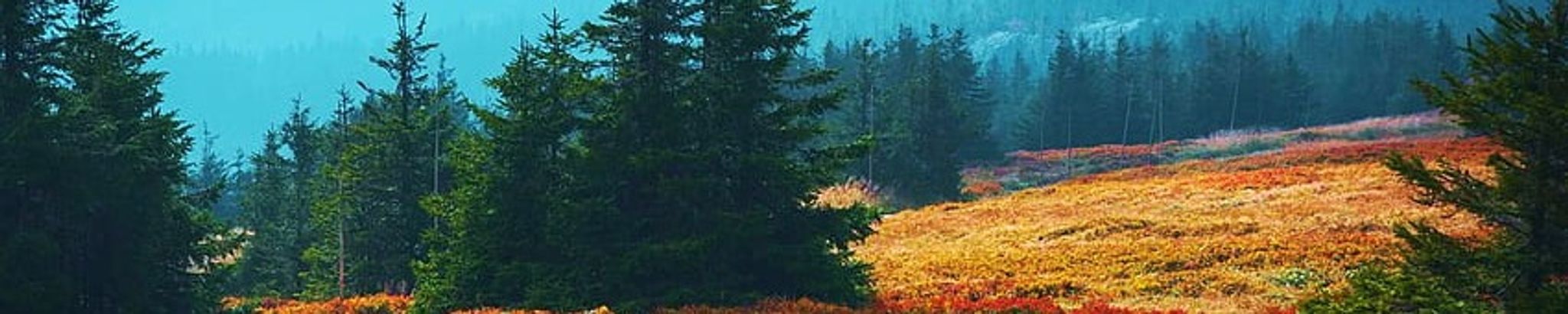 Cover photo for Leo S. Baker's Obituary
