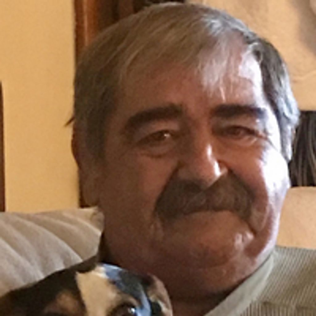 David Ellis Watkins