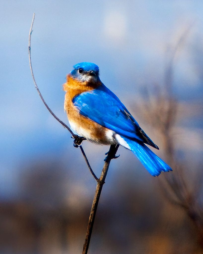 William "Evan" Evans Profile Photo