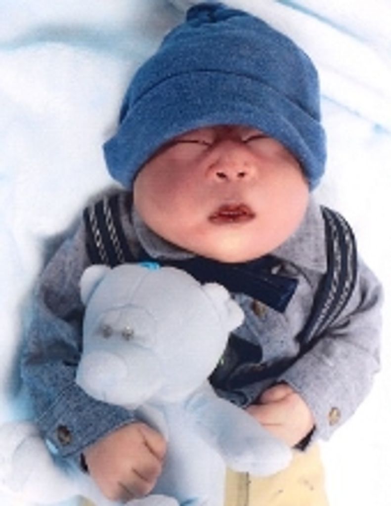 Cosmo O'Connor Profile Photo