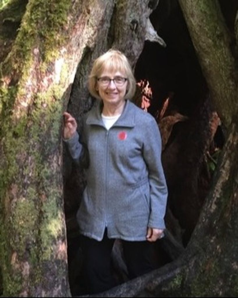 Dianne C. Hollenbeck Profile Photo