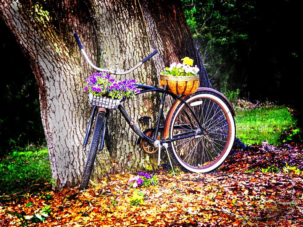 Mary Alice Jubera Profile Photo